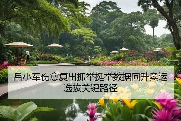 吕小军伤愈复出抓举挺举数据回升奥运选拔关键路径